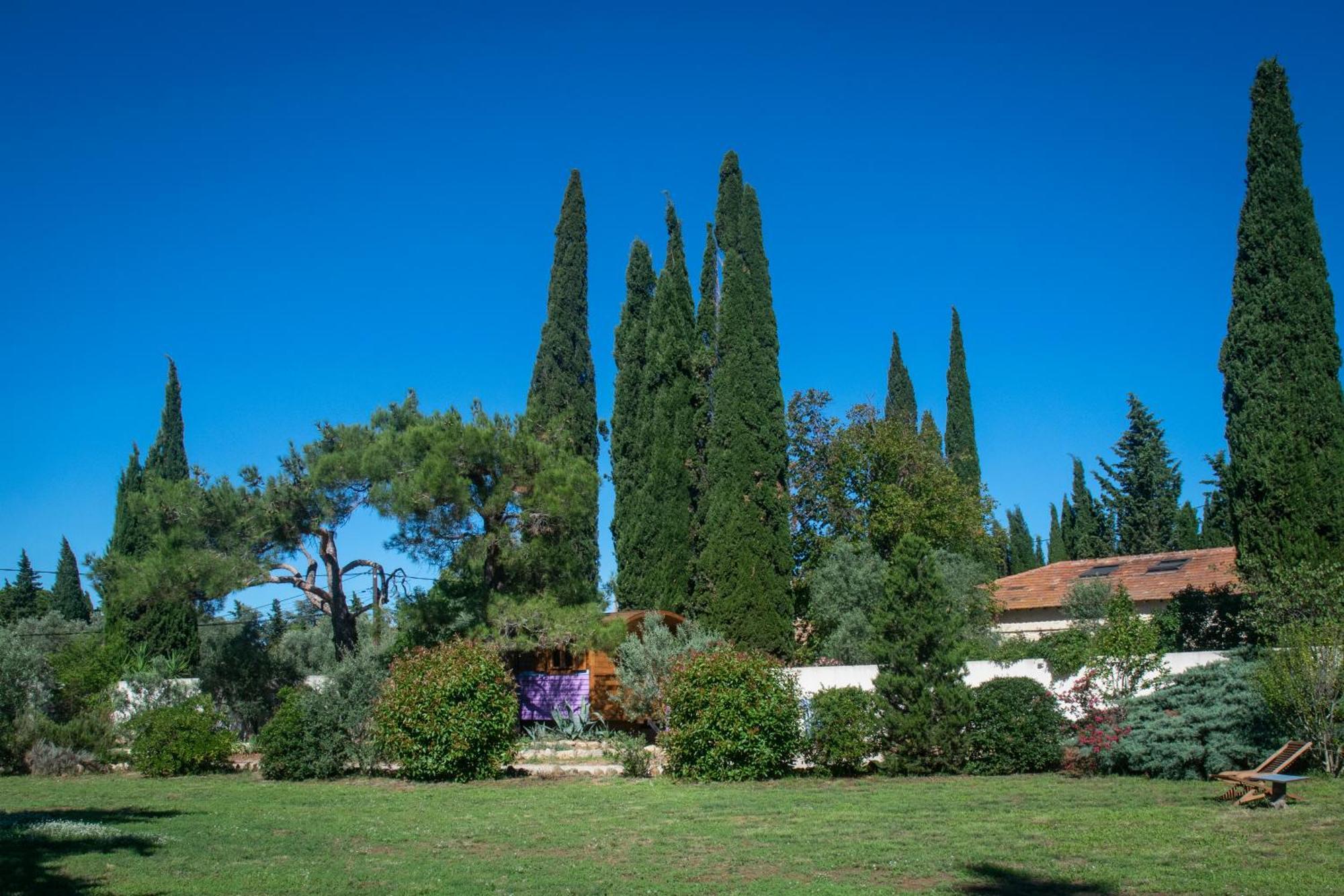 Vintage Provence Hotel Arles Quarto foto